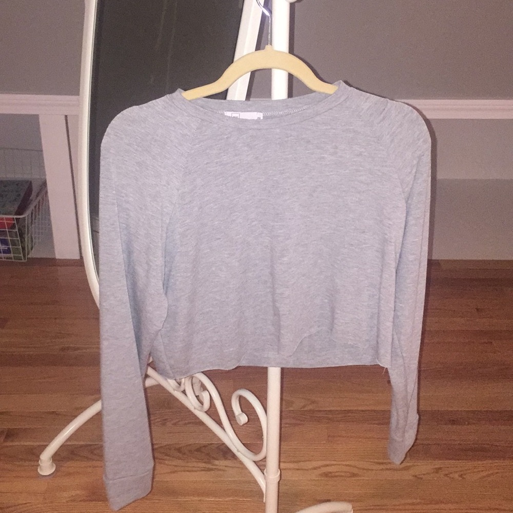 Grey long sleeved crop top